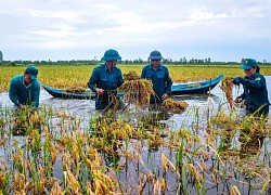 Cà Mau hạn chế các hoạt động chưa cần thiết để lo cho dân bị thiên tai