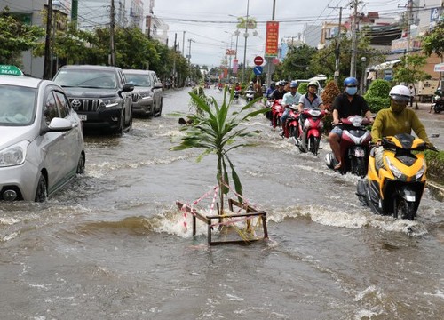 Cà Mau khẩn trương khắc phục thiệt hại do ngập úng