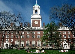 Đại học Harvard lần thứ 4 đứng đầu bảng xếp hạng Đại học Mỹ