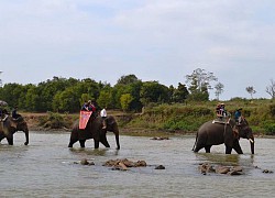 Đắk Lắk: Bỏ du lịch cưỡi voi, phát triển đa dạng sản phẩm