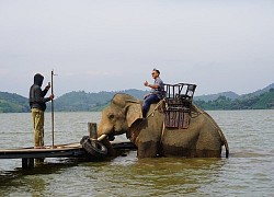 Đăk Lăk sẽ bỏ dịch vụ cưỡi voi