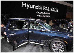 Doanh số xe Hyundai và Kia chiếm gần 8% thị phần ô tô châu Âu