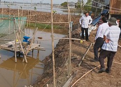 Đồng Tháp: Dẫn dụ cá đồng vào nuôi trong ruộng lúa, nông dân bắt lên toàn cá ngon, tươi roi rói, lãi hơn 110 triệu/ha