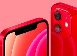 DxOMark đánh giá camera iPhone 12 Pro Max như thế nào?