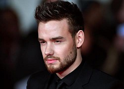 Liam Payne bị cảnh cáo tước quyền làm cha