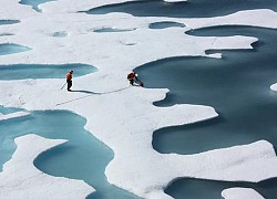 Lớp băng vĩnh cửu tan chảy có thể gây ra sóng thần mạnh ở Alaska