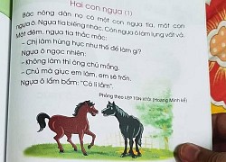 Những từ ngữ, bài học nào trong sách Tiếng Việt lớp 1 bộ sách Cánh Diều sẽ phải điều chỉnh và thay thế?