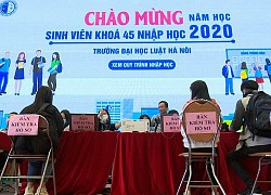 Tân sinh viên ngành Luật cần làm gì để vượt qua 4 năm đại học?