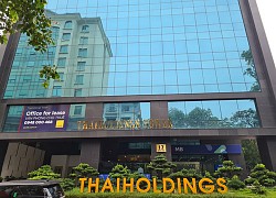 Thaiholdings báo lãi quý 3 tăng mạnh nhưng mới thực hiện được 13% kế hoạch năm