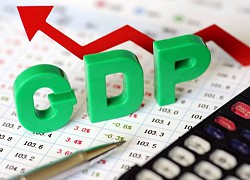 Viện Nghiên cứu Kinh tế và Chính sách: GDP 2020 trong khoảng 2,6 &#8211; 2,8%