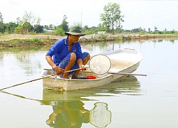 2 ông nông dân tỉnh Đồng Tháp nuôi những loài cá đặc sản gì mà con nào bán cũng đắt, đắt hơn cả tôm tươi?