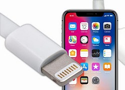 Apple nên chuyển sang USB-C trên iPhone nếu muốn bảo vệ môi trường hơn nữa