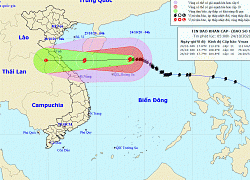 Bão số 8 cách Hoàng Sa 160km, vùng biển Hà Tĩnh gió mạnh dần lên cấp 7