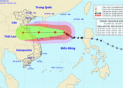 Bão số 8 có khả năng suy yếu trước khi vào đất liền