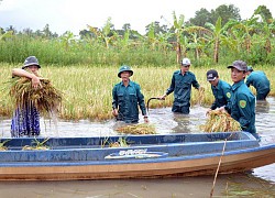 Cà Mau vận động hỗ trợ cho nông dân trong tỉnh và miền Trung