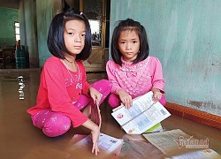 'Chú có biết nhà hảo tâm nào tặng sách, vở... để anh, chị xin cho cháu học'