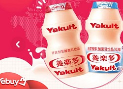 Có thể bạn chưa biết: Sữa chua Yakult ở Nhật Bản chỉ dành cho "người giàu" vì giá đắt gấp ba các loại khác