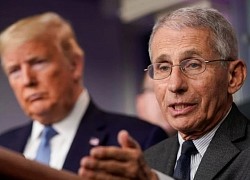 Fauci nói Trump không dự họp Covid-19 suốt nhiều tháng