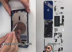 Mổ bụng iPhone 12: màn hình mỏng hơn, modem 5G X55 của Qualcomm, pin nhỏ hơn