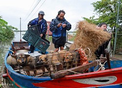 Nhiều nước thăm hỏi tình hình lũ lụt Việt Nam