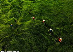 Nhiều ảnh chụp Việt Nam đoạt giải Aerial Photography Awards 2020