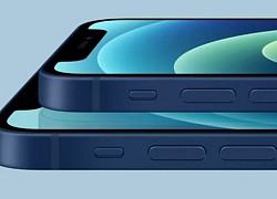 Tại sao mẫu iPhone "quốc dân" này vẫn đáng mua hơn iPhone 12?