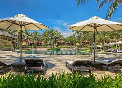 Thảnh thơi nghỉ ngơi tại một Pandanus mới lạ