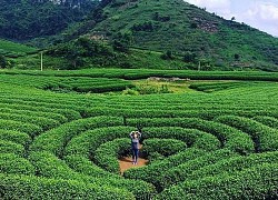 "Trải nghiệm sắc màu Sơn La" - Kết nối du lịch Hà Nội-Sơn La