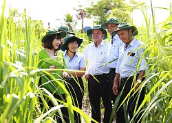 TTC Sugar (SBT) phát hành hơn 30.4 triệu cổ phiếu ESOP