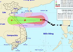 Vùng biển Quảng Trị đến Thừa Thiên Huế có gió giật cấp 9 từ tối 24-10