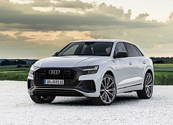 Audi Q8 TFSIe Quattro khởi điểm từ 88.609 USD tại châu Âu