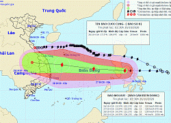 Bão Molave tăng cấp khi vào Biển Đông, Hà Tĩnh sẽ có mưa to
