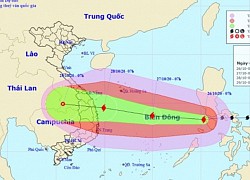 Bão số 9 nhanh và mạnh, nâng cấp ứng phó, dự kiến sơ tán hơn 1,2 triệu dân