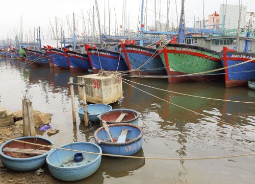 Bình Định: 8 tàu cá trong vùng nguy hiểm "kêu cứu'