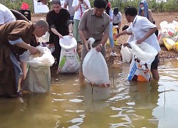 Đây là lý do tỉnh Đồng Nai phải thả gần chục tấn cá xuống hồ Trị An mỗi năm