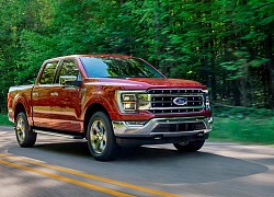 Ford F-150 2021 dùng động cơ V8 nhưng vẫn tiết kiệm nhiên liệu