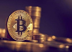 Giá Bitcoin hôm nay 25/10: Tiếp tục tăng 'nóng', thị trường rực sắc xanh