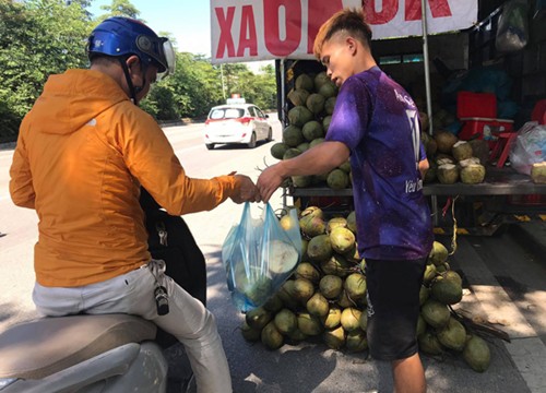 Hà Nội: Dừa xiêm bán "giá rẻ như cho", người bán tiết lộ nguyên nhân