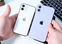 iPhone 12 Mini vs iPhone SE 2020: Lựa chọn nào cho bạn?