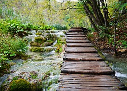 Mùa thu đẹp như tranh ở hồ Plitvice