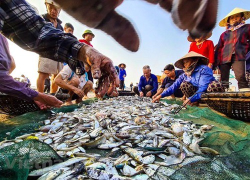 Làng chài nhỏ xinh bị 'lãng quên' bên bãi biển Sầm Sơn