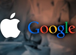 Thỏa thuận bí ẩn giữa Apple và Google: Cái bắt tay tỷ đô nhằm kiểm soát Internet toàn cầu