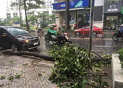 TP.HCM triển khai ứng phó bão số 9 ở khu vực giáp biển