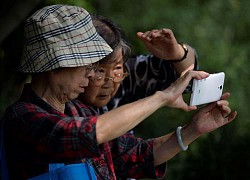 TQ: Mê trai trẻ đẹp trên mạng xã hội, hàng trăm "bà cô" nhận cái kết đắng