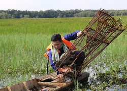 Trải nghiệm làm dân miền Tây 'chính hiệu' tại vườn quốc gia Tràm Chim