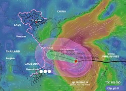 Trực tiếp: Tâm bão số 9 cách Phú Yên 310km, gió giật cấp 17