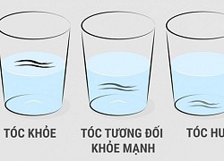 Tuyệt chiêu kiểm tra độ chắc khỏe của tóc