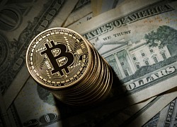 Bitcoin có giá cao nhất trong 2 năm qua, chạm mốc 13.700 USD