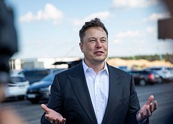 Chỉ 3 từ, Elon Musk tiết lộ cách trở thành chuyên gia mọi lĩnh vực