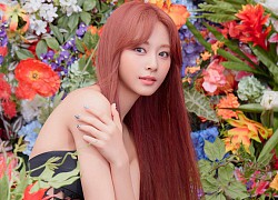 Chỉ có thể là Tzuyu (TWICE): Được chọn vào JYP nhưng sợ bị lừa, còn tưởng CEO là diễn viên hài!